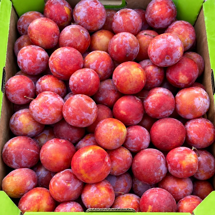 Сливы в коробке